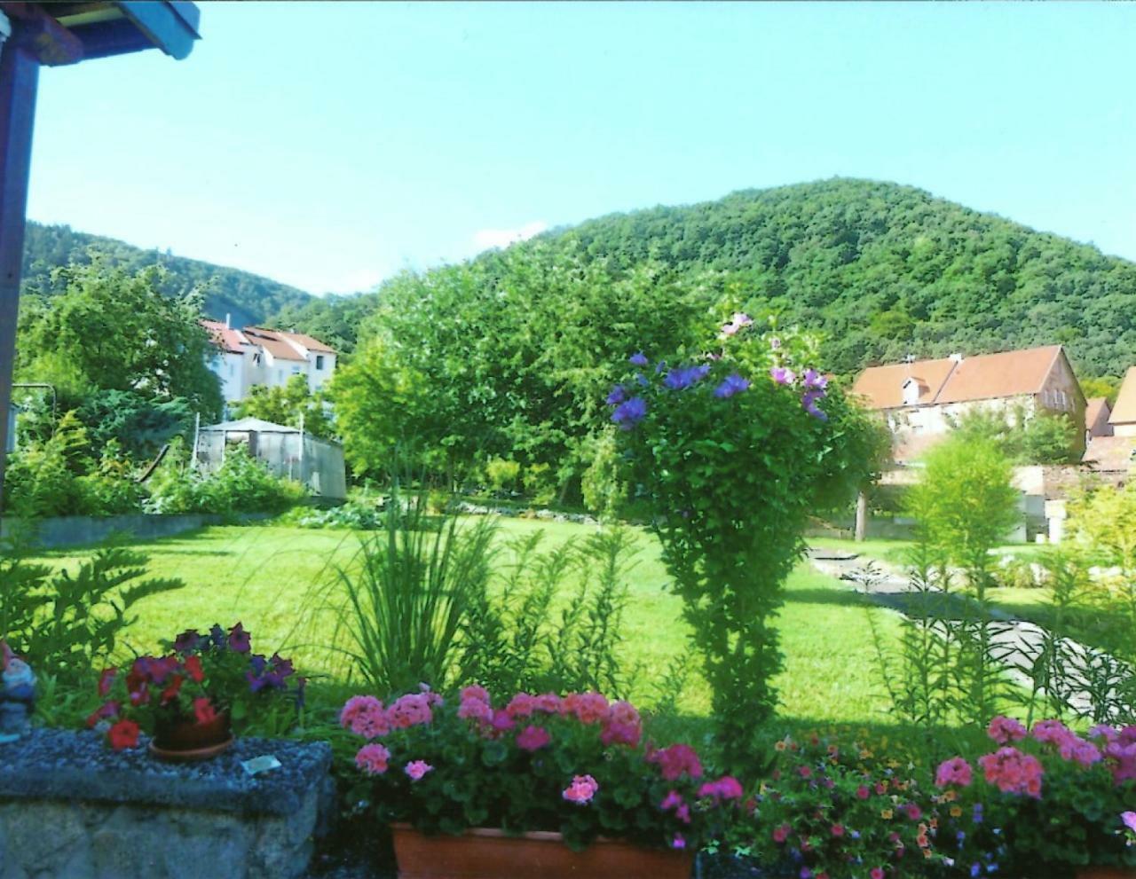 Ferienwohnung Bergblick - Inklusive Bodetal Therme ターレ エクステリア 写真